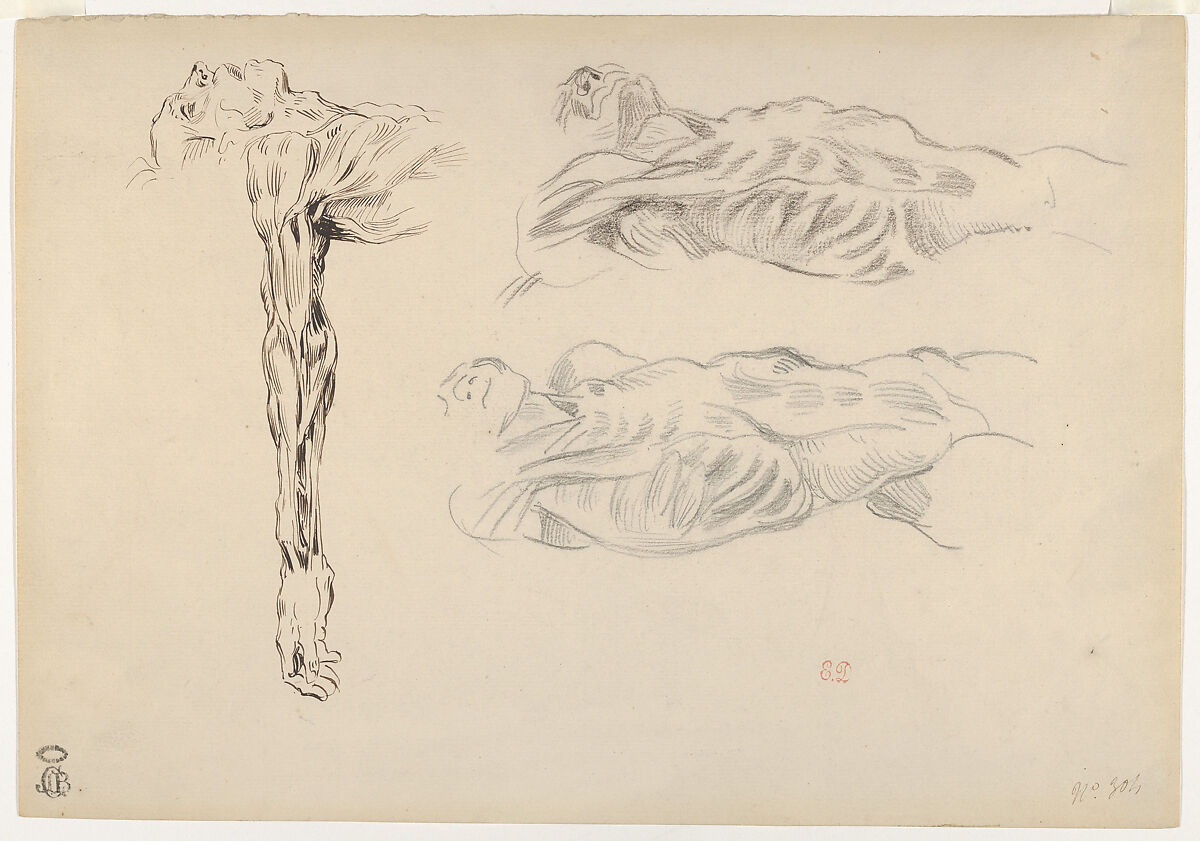 Écorché: Three Studies of a Male Cadaver, Eugène Delacroix (French, Charenton-Saint-Maurice 1798–1863 Paris), Pen and brown ink, graphite 