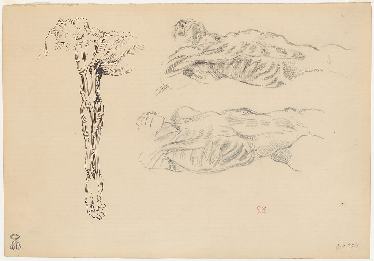 Écorché: Three Studies of a Male Cadaver, Eugène Delacroix (French, Charenton-Saint-Maurice 1798–1863 Paris), Pen and brown ink, graphite