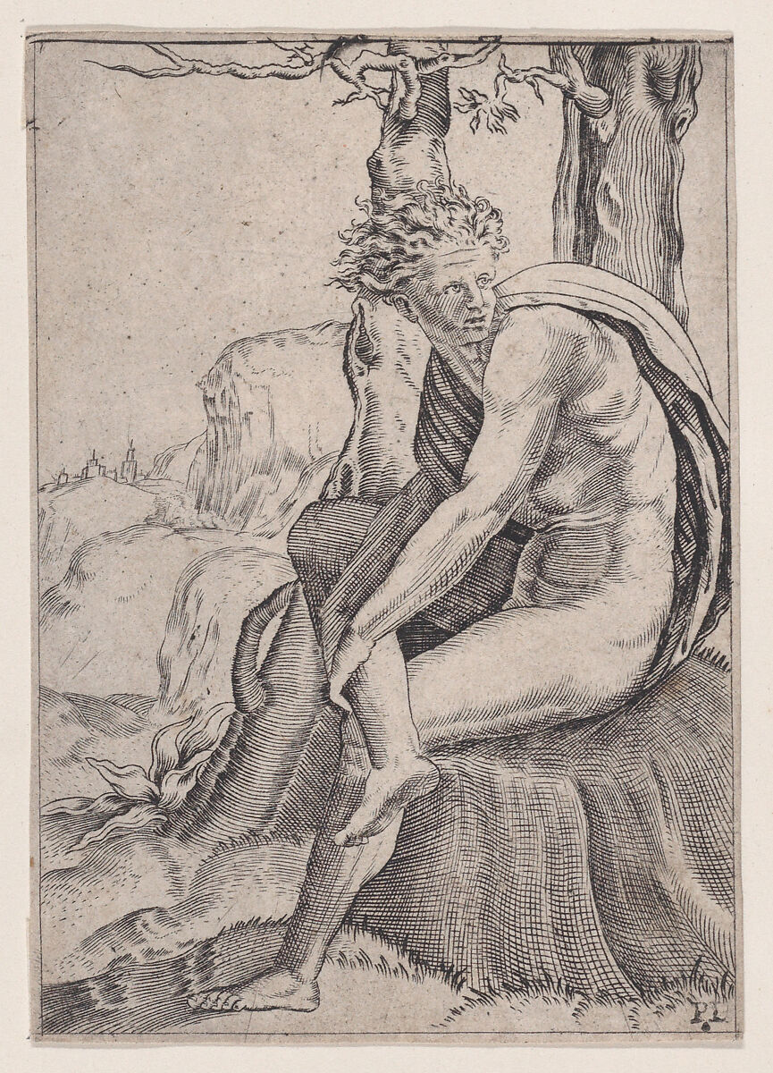 Seated Youth, Agostino Veneziano (Agostino dei Musi) (Italian, Venice ca. 1490–after 1536 Rome), Engraving 