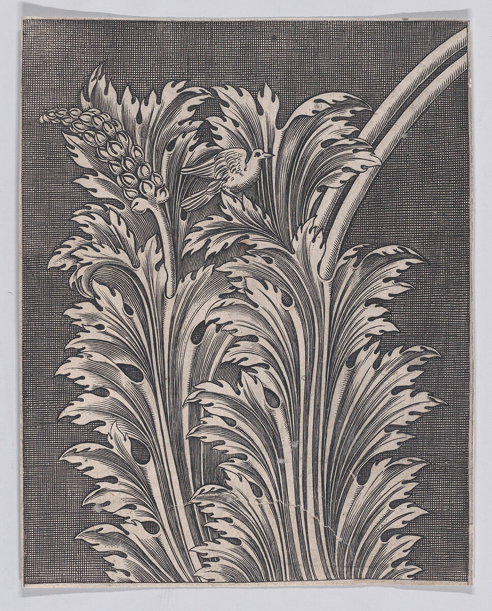 Acanthus Leaves, Anonymous, Italian, 16th to early 17th century, Engraving 