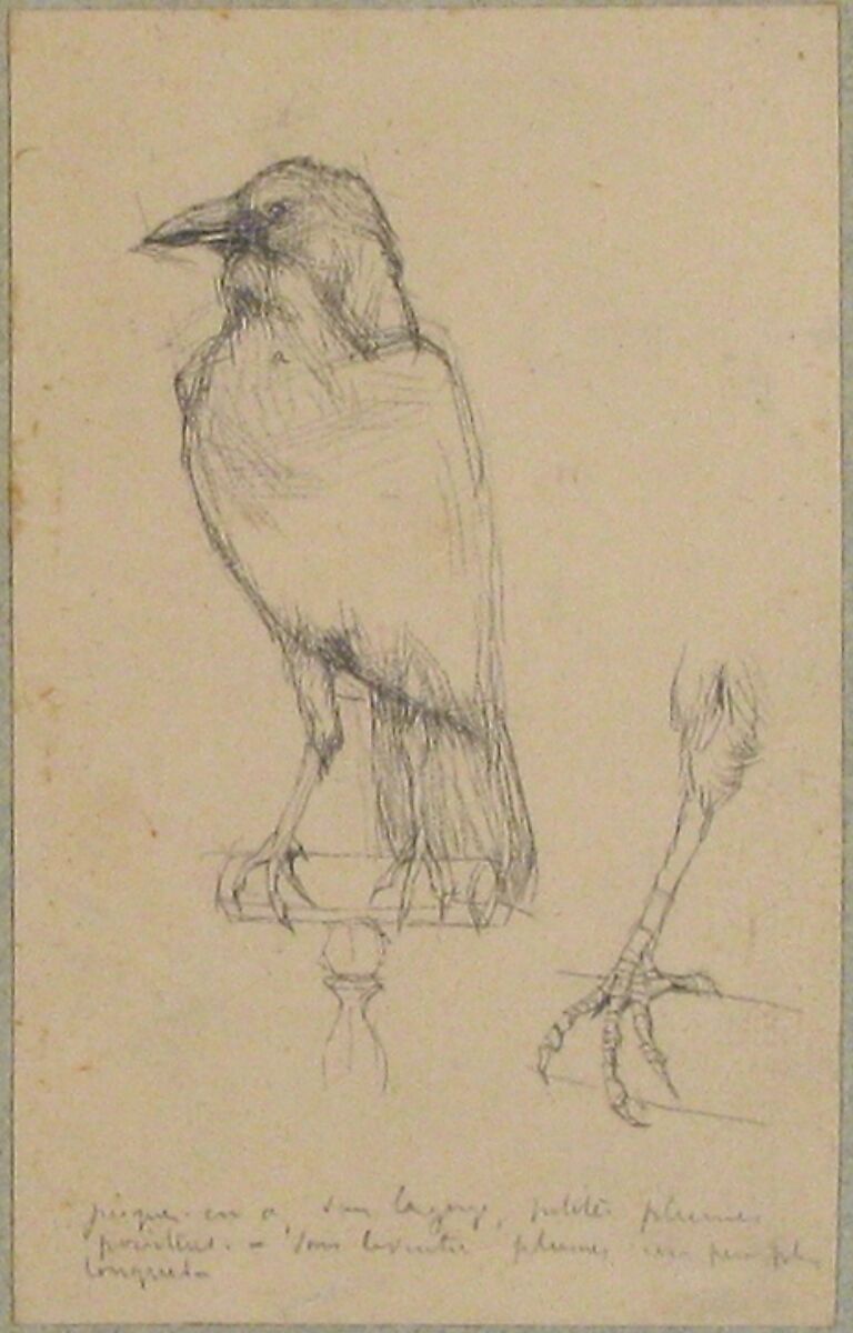 A Raven Perched on a Rail, Charles Meryon (French, 1821–1868), Graphite on wove paper laid down on blue-green French mat
