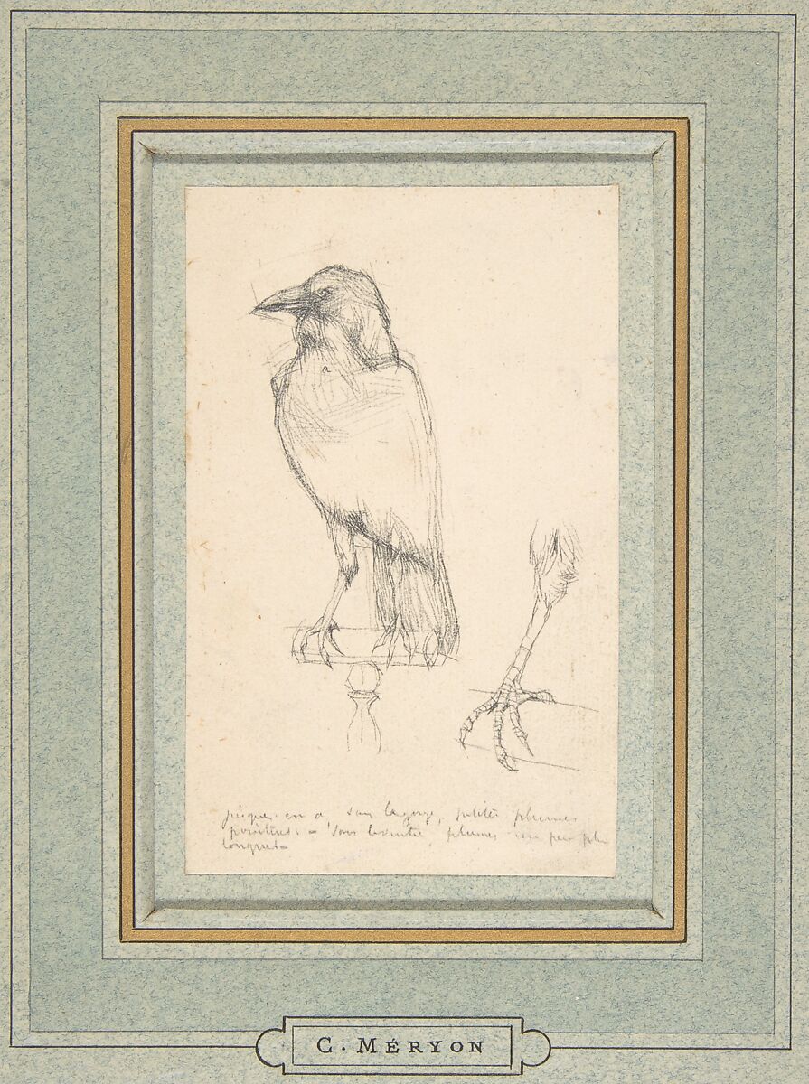 A Raven Perched on a Rail, Charles Meryon (French, 1821–1868), Graphite on wove paper laid down on blue-green French mat 