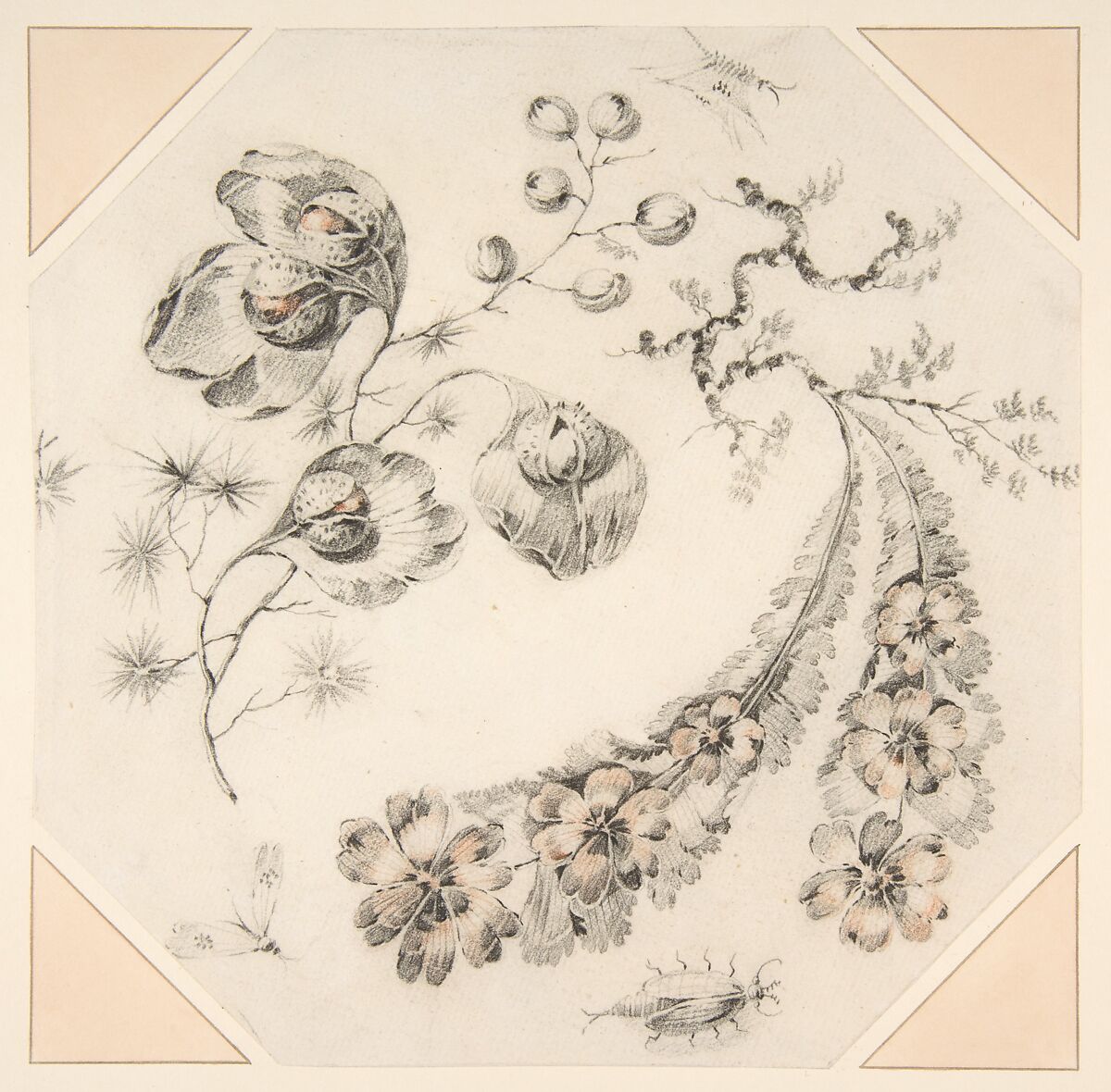 Design for Fantasy Branches of Flowers, Jean Pillement (French, Lyons 1728–1808 Lyons), Red and black chalk