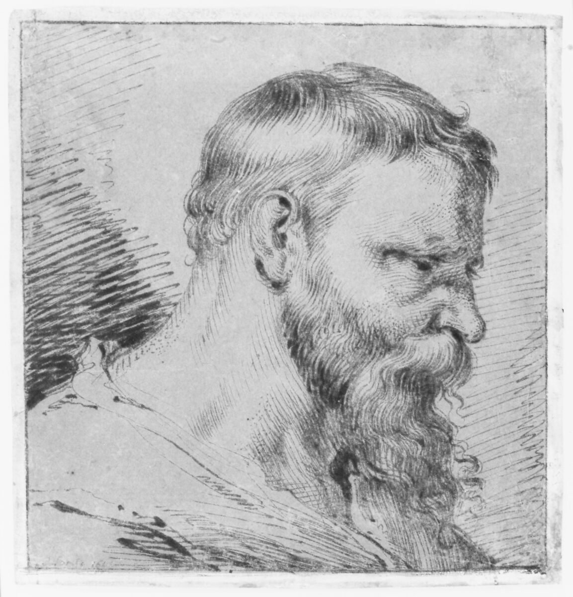 Bearded Head, Looking Down to the Right, Jacques de Gheyn, III (Dutch, Amsterdam (?) ca. 1596–1641 Utrecht), Pen and brown ink on brown prepared paper