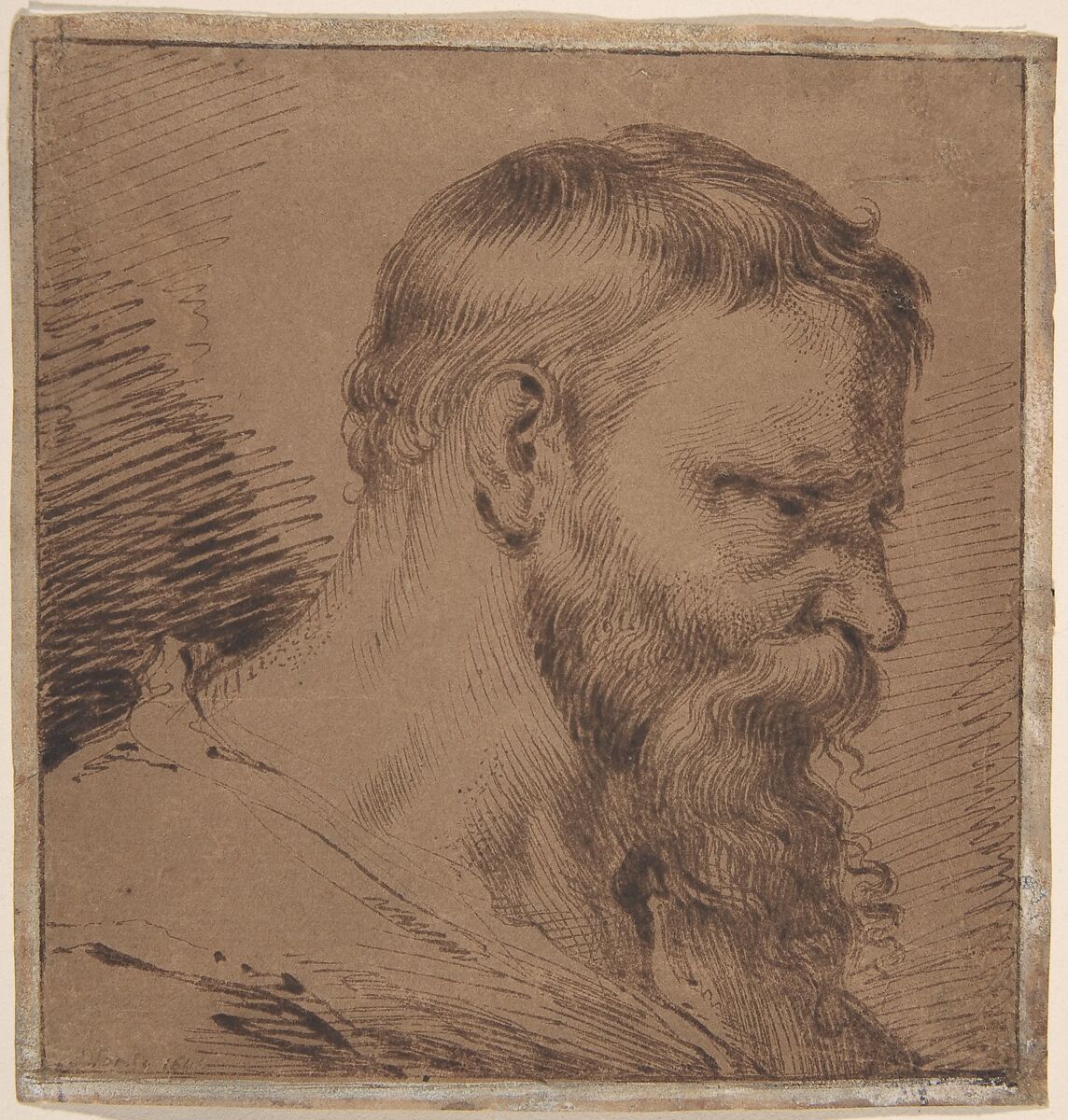Bearded Head, Looking Down to the Right, Jacques de Gheyn, III (Dutch, Amsterdam (?) ca. 1596–1641 Utrecht), Pen and brown ink on brown prepared paper 