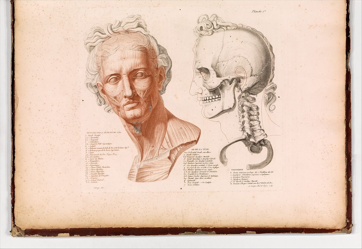 Anatomie du gladiateur combattant applicable aux beaux arts, ou Traité des os, des muscles, du mécanisme de mouvemens, de proportions et des caractères du corps humain (Anatomy of the Fighting Gladiator), Paris (Salvage), 1812, Written and illustrated and published by Jean-Galbert Salvage (French, 1770–1813), Folio volume (74 pp.) illustrated with 22 engravings printed in black and red ink; bound in red boards; red leather spine with gold-stamped ornament