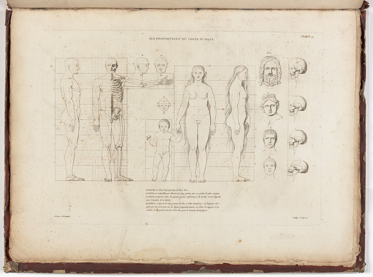 Anatomie du gladiateur combattant applicable aux beaux arts, ou Traité des os, des muscles, du mécanisme de mouvemens, de proportions et des caractères du corps humain (Anatomy of the Fighting Gladiator), Paris (Salvage), 1812, Written and illustrated and published by Jean-Galbert Salvage (French, 1770–1813), Folio volume (74 pp.) illustrated with 22 engravings printed in black and red ink; bound in red boards; red leather spine with gold-stamped ornament