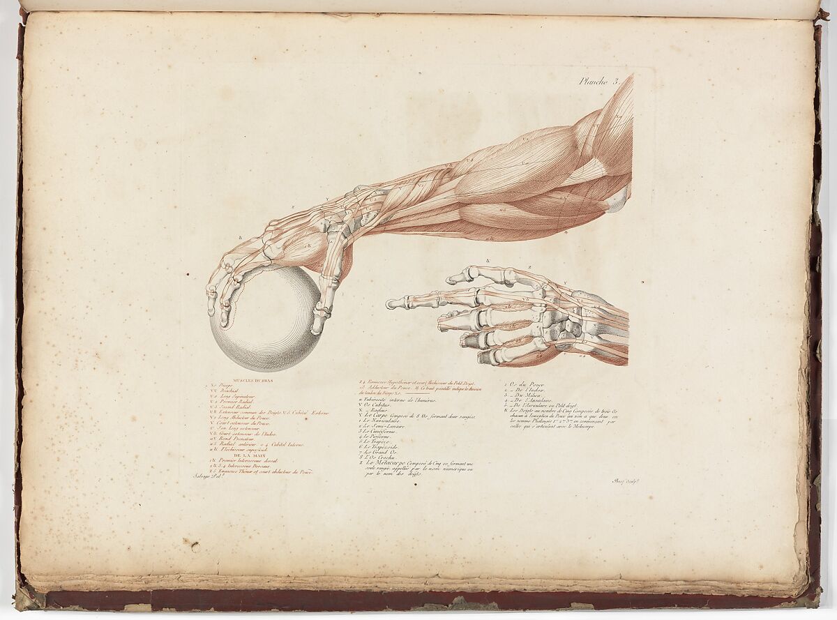 Anatomie du gladiateur combattant applicable aux beaux arts, ou Traité des os, des muscles, du mécanisme de mouvemens, de proportions et des caractères du corps humain (Anatomy of the Fighting Gladiator), Paris (Salvage), 1812, Written and illustrated and published by Jean-Galbert Salvage (French, 1770–1813), Folio volume (74 pp.) illustrated with 22 engravings printed in black and red ink; bound in red boards; red leather spine with gold-stamped ornament