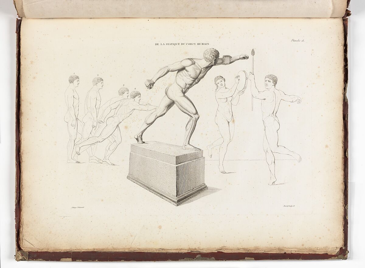 Anatomie du gladiateur combattant applicable aux beaux arts, ou Traité des os, des muscles, du mécanisme de mouvemens, de proportions et des caractères du corps humain (Anatomy of the Fighting Gladiator), Paris (Salvage), 1812, Written and illustrated and published by Jean-Galbert Salvage (French, 1770–1813), Folio volume (74 pp.) illustrated with 22 engravings printed in black and red ink; bound in red boards; red leather spine with gold-stamped ornament