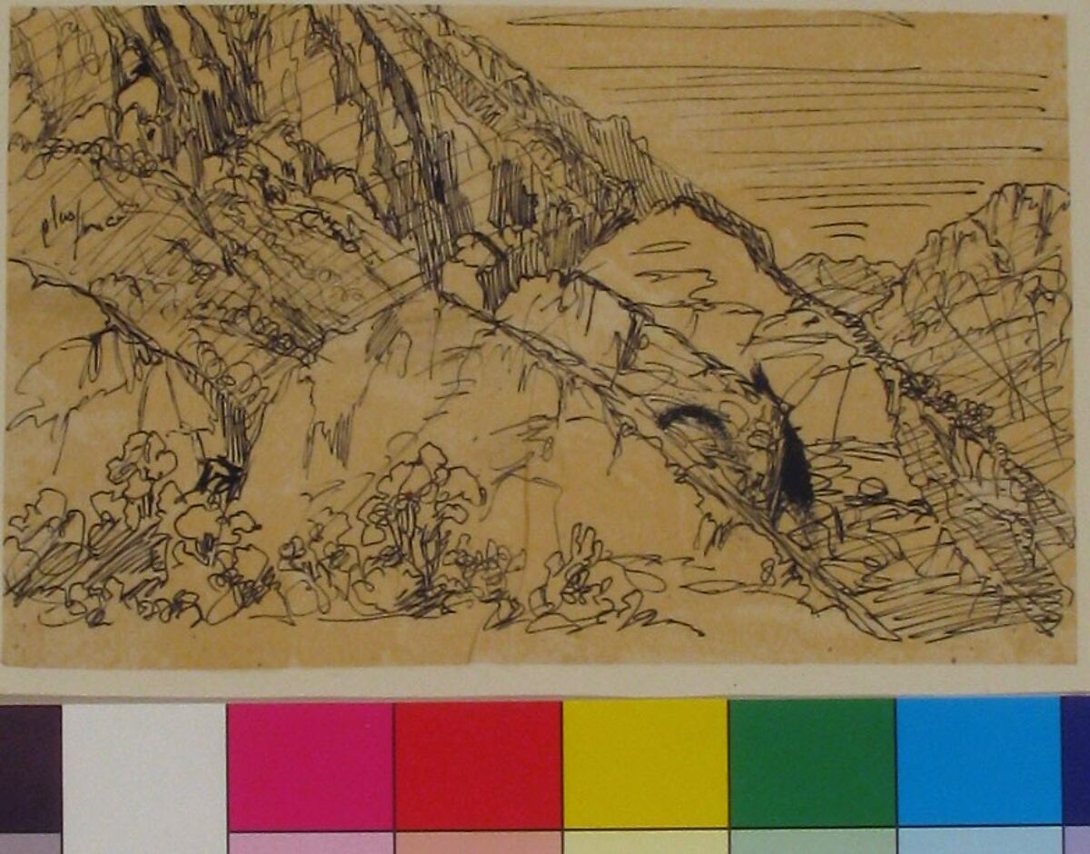 Mountainous Site, Rodolphe Bresdin (French, Montrelais 1822–1885 Sèvres), Pen and black ink