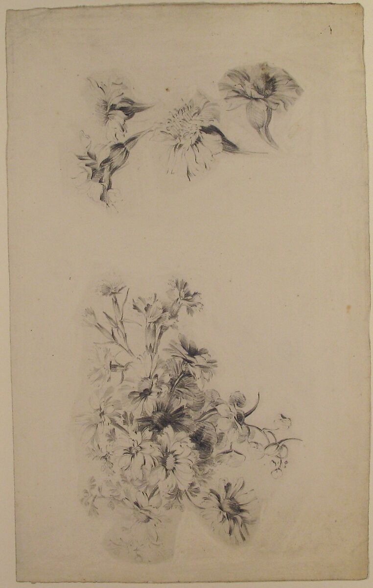 Studies of Flowers, Anonymous, French, 18th century, Graphite
