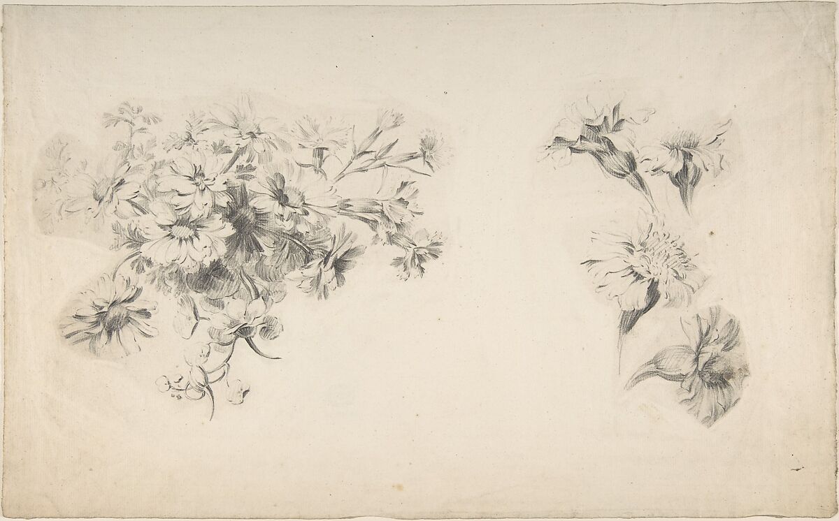 Studies of Flowers, Anonymous, French, 18th century, Graphite 