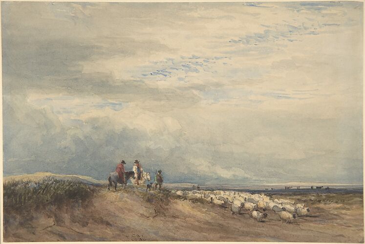 Riders with sheep near an estuary
