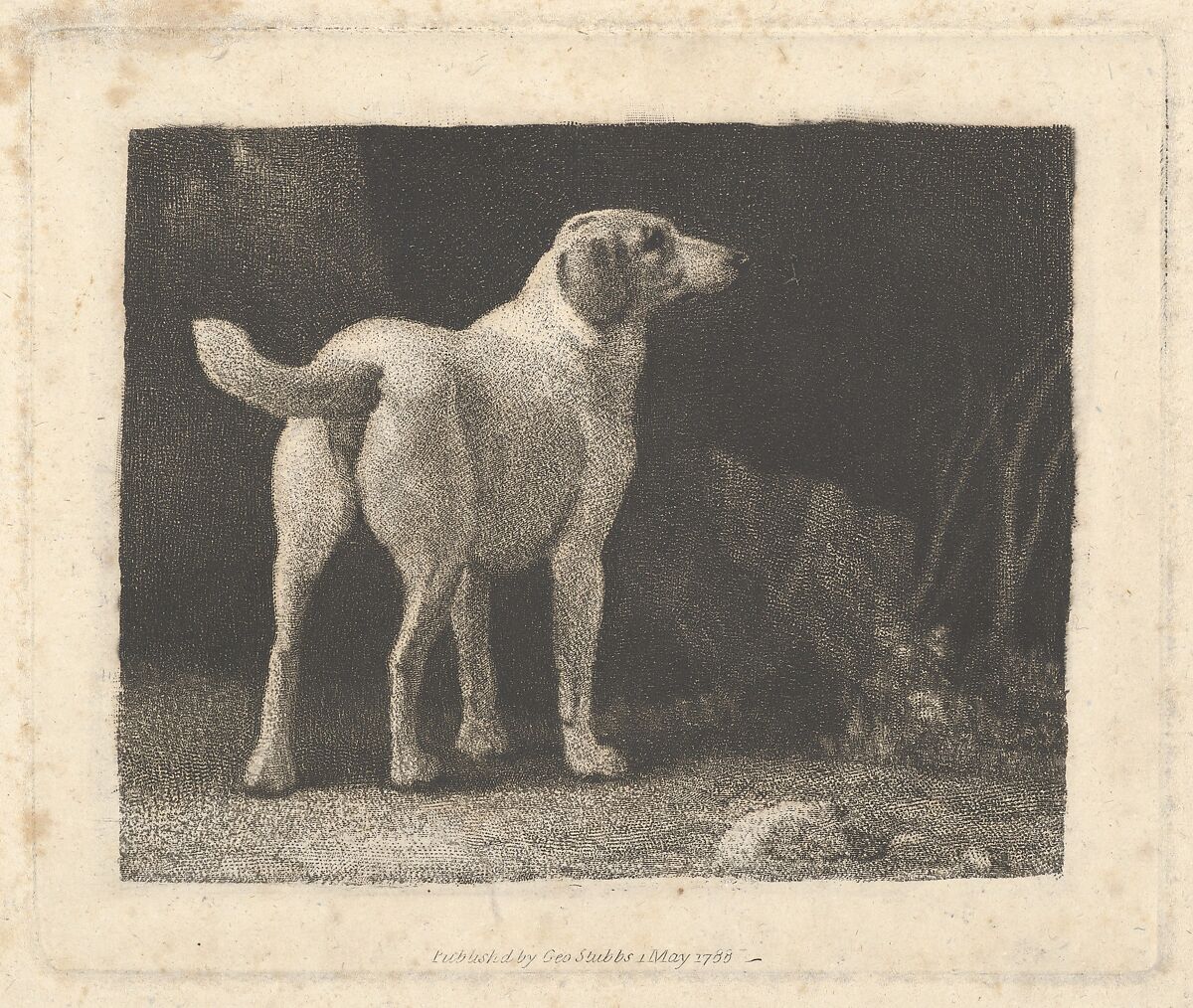 Dog (A Foxhound Viewed from Behind), George Stubbs (British, Liverpool 1724–1806 London), Roulette work with etching; first and only state 