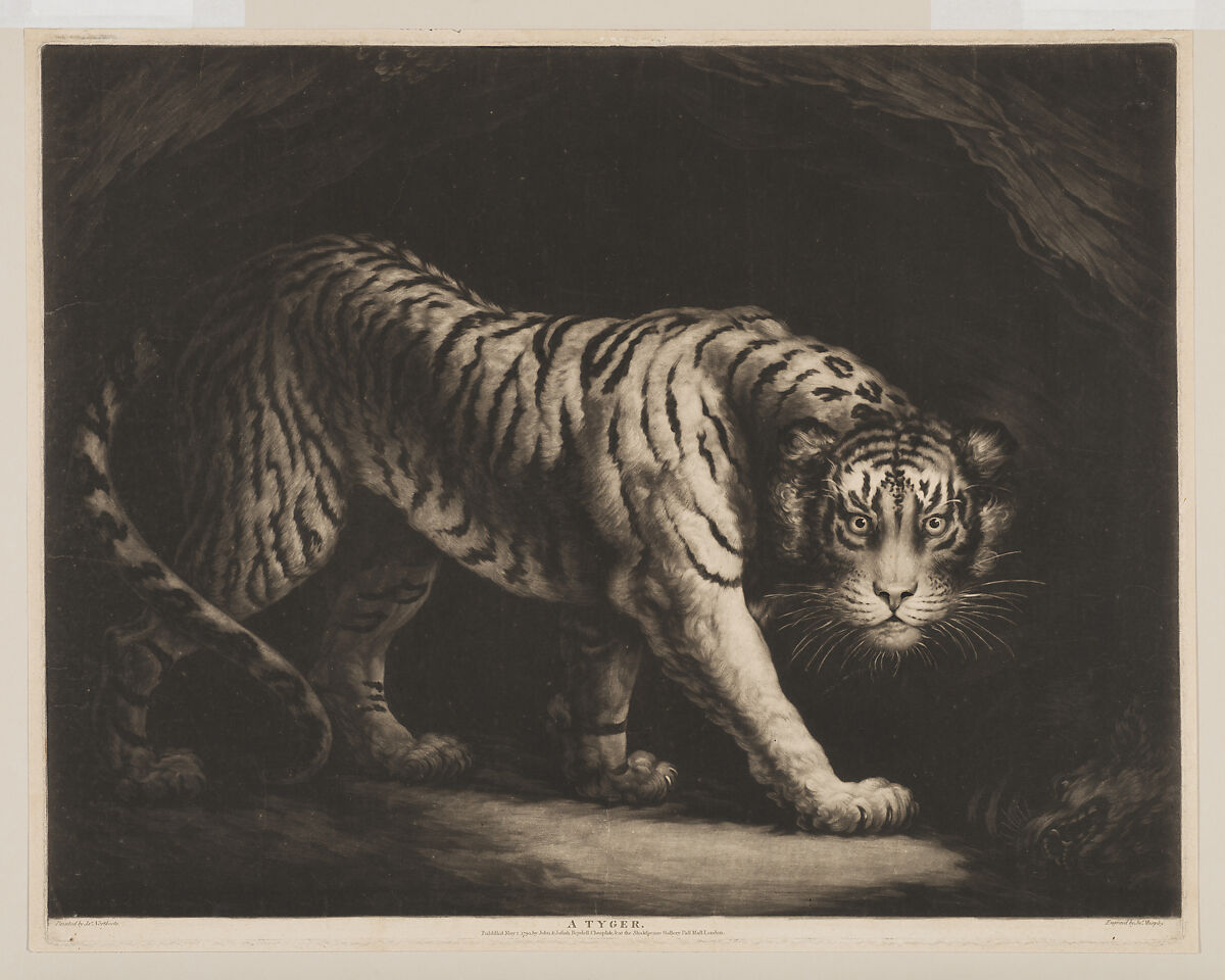 A Tyger, John Murphy (Irish, active 1778–1817, died after 1820 London), Mezzotint 