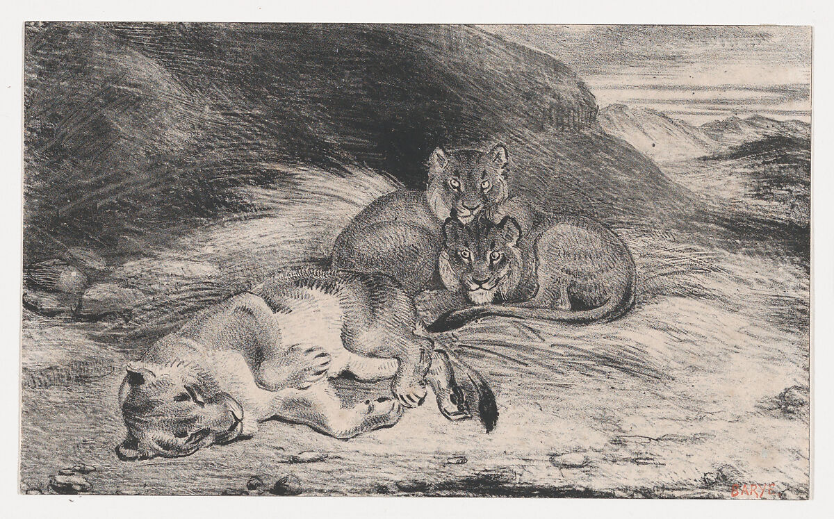 Lioness and Cubs, Antoine-Louis Barye (French, Paris 1795–1875 Paris), Lithograph 