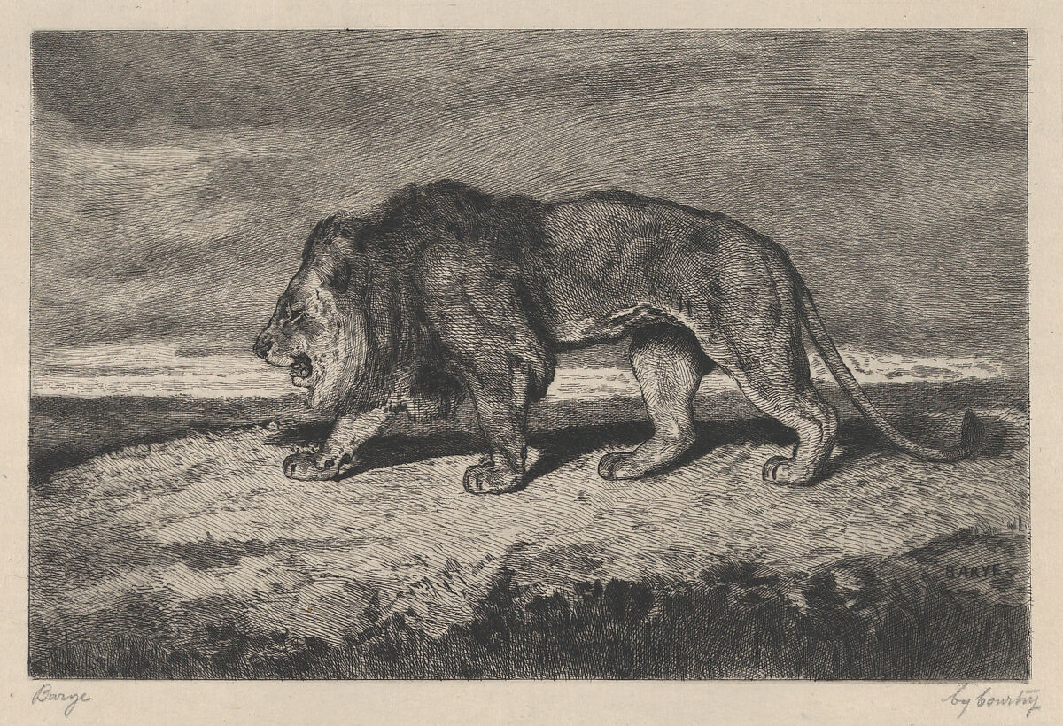 Lion walking, Charles Courtry (French, Paris 1846–1897 Paris), Etching and drypoint 