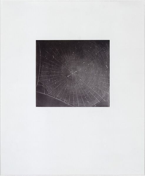 Web 2, Vija Celmins (American, born Riga, Latvia, 1938), Mezzotint