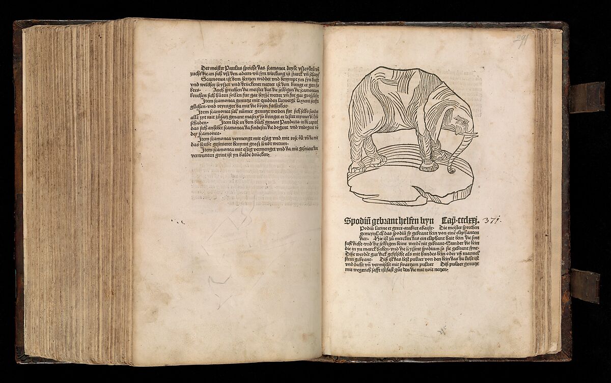 Gart der  gesuntheit - Ortus sanitatis (Herbarius), Peter Schöffer the Elder (German, Gernsheim 1425–1503 Mainz), plates: hand colored woodcuts