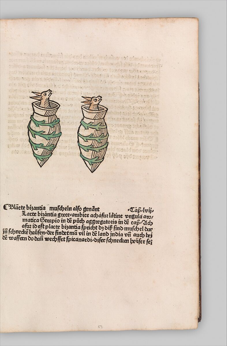 Herbarius - Gart der gesuntheit - Hortus sanitatis, Hans Schönsperger the Elder (German, active Augsburg 1481–1520), Plates: hand-colored woodcuts