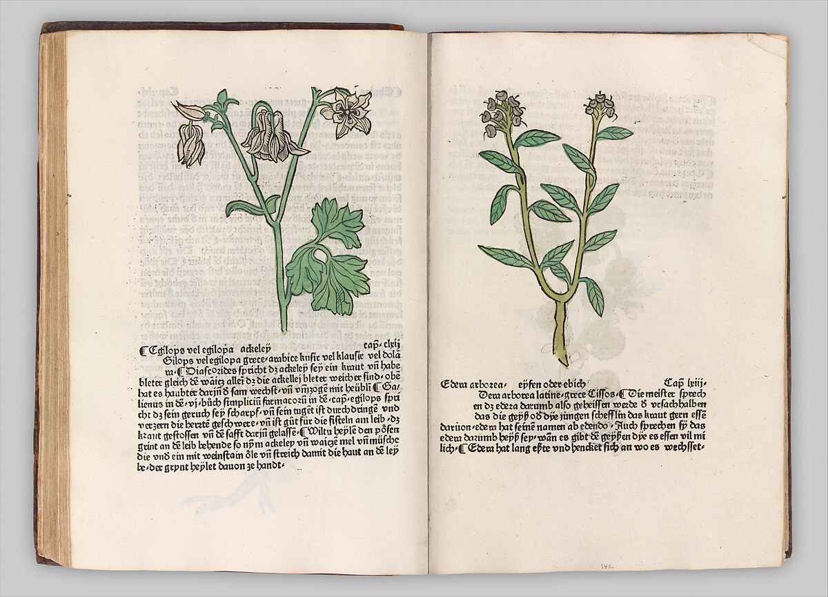 Herbarius - Gart der gesuntheit - Hortus sanitatis, Hans Schönsperger the Elder  German, Plates: hand-colored woodcuts