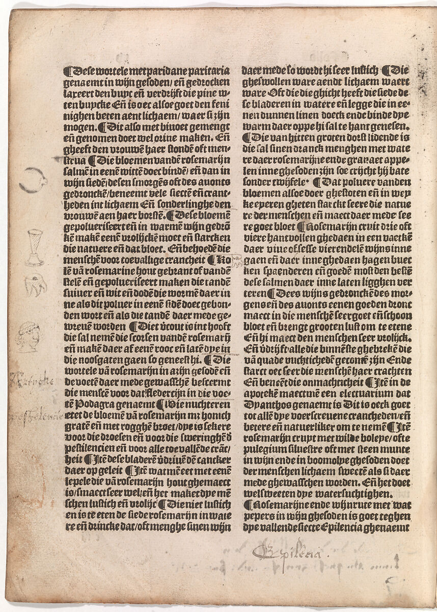 De(n) grote(n) herbari met al sijn figuere(n), Printed by Claes de Grave (Flemish), plates: woodcut 