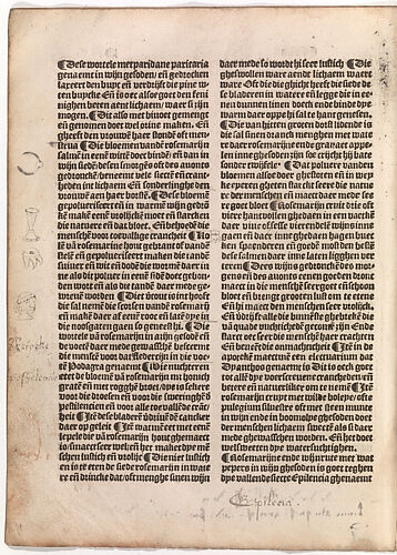 De(n) grote(n) herbari met al sijn figuere(n)