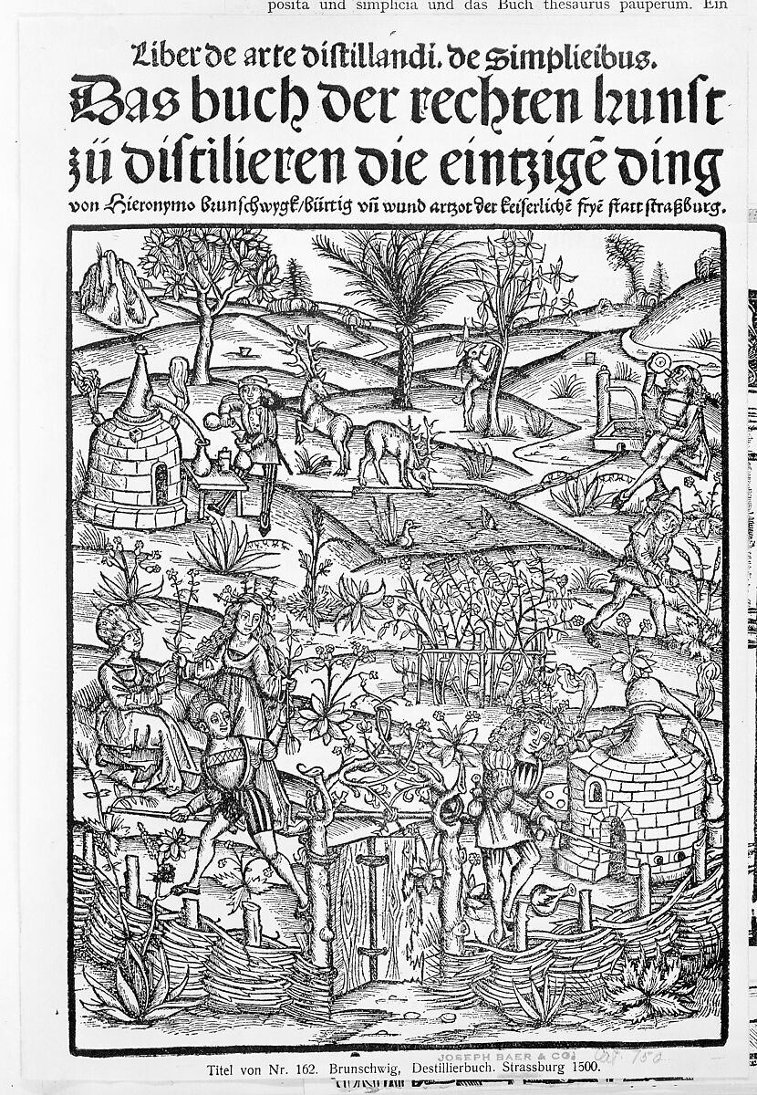 Medicinarius. Das buch der Gesundheit. Liber de arte distillandi Simplicia et Composita, Printed by Johann Grüninger (German, Markgröningen 1455?–?1533 Strasbourg)  , Strassburg, plates: handcolored woodcuts 