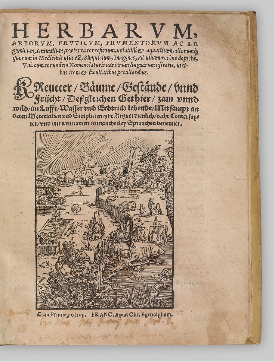 I) Herbarum, Arborum, Fructium, Frumentorum, c. 1540 ... II) De Speciali quarundam plantarum, Frankfurt: Egenolff 1552, Christian Egenolff (German, Hadamar 1502–1555 Frankfurt), Woodcuts