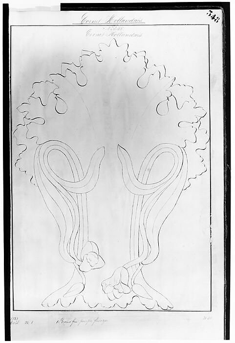 Design for a Tea Pot Removed from the Factory Record Book, Haviland &amp; Co. (American and French, 1864–1931), Pen and ink and graphite