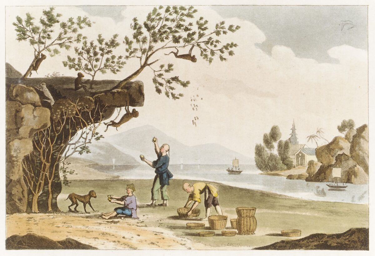 The Repository of Arts, Literature, Commerce, Manufactures, Fashions, and Politics, Rudolph Ackermann, London (British, active 1794–1832), Illustrations: etching, engraving, aquatint, woodcut, hand-coloring, fabric samples