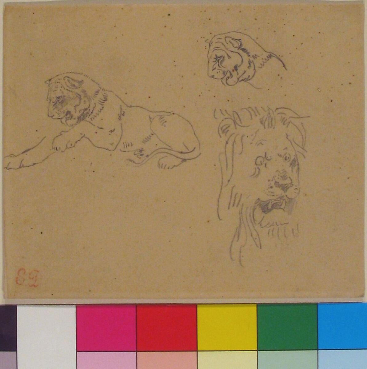 Three Studies of a Lion, Eugène Delacroix (French, Charenton-Saint-Maurice 1798–1863 Paris), Graphite on tracing paper (mounted on wove paper)