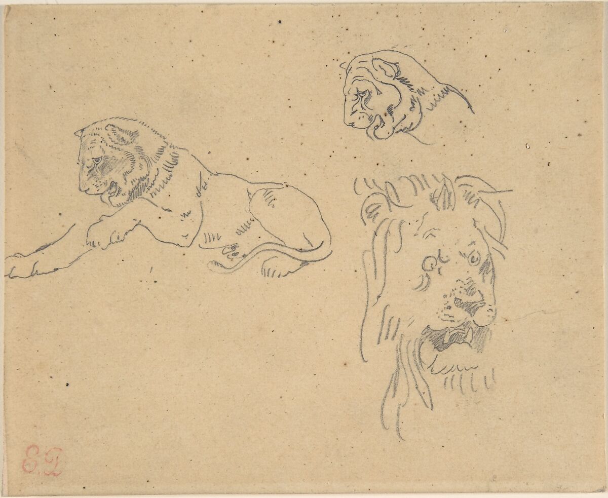 Three Studies of a Lion, Eugène Delacroix (French, Charenton-Saint-Maurice 1798–1863 Paris), Graphite on tracing paper (mounted on wove paper) 