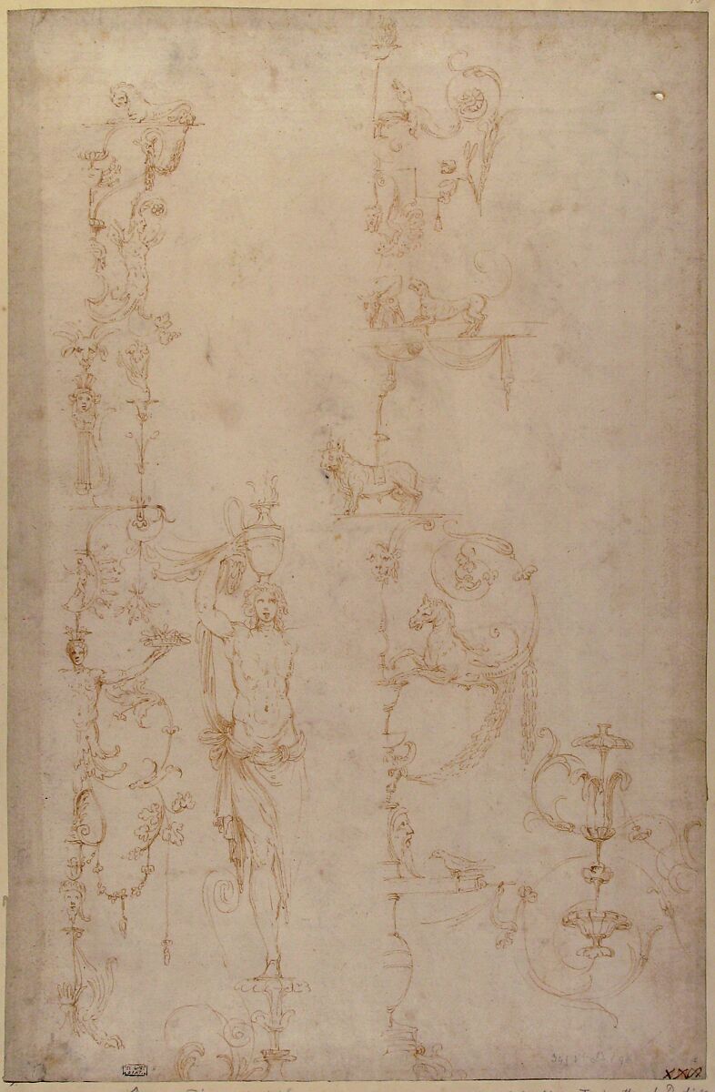 Sketches for Grotesque Wall Decorations, Girolamo da Carpi (Girolamo Sellari) (Italian, Ferrara 1501–1556 Ferrara), Pen and brown ink