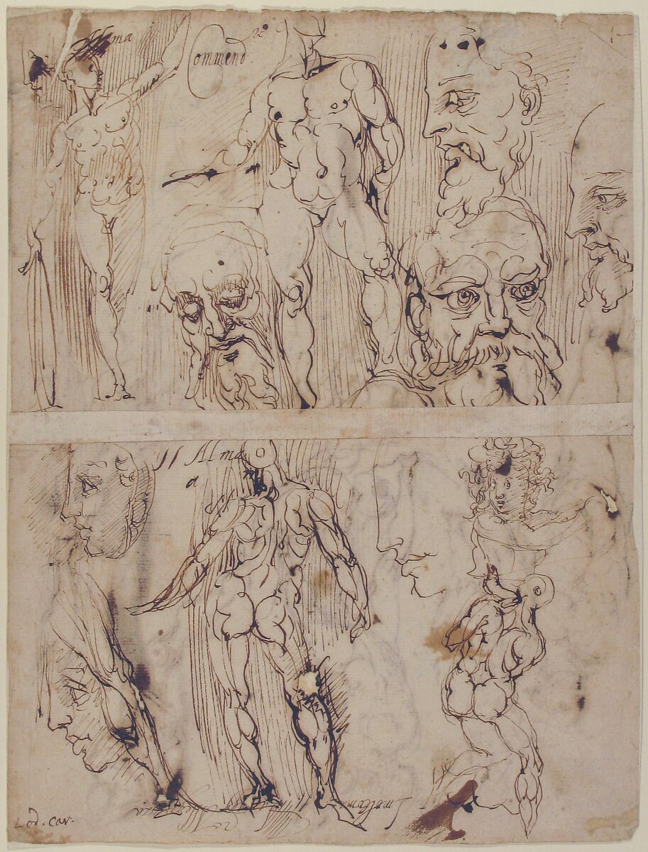 Studies of Nudes and Human Heads (recto and on the verso), circle of Agostino Carracci (Italian, Bologna 1557–1602 Parma), Pen and brown ink over traces of graphite