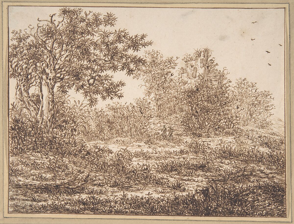 Dune Landscape with Trees, Adriaen Hendriksz. Verboom (Dutch, Rotterdam ca. 1627–1673 Rotterdam), Pen and brown ink, framing line in brown ink 