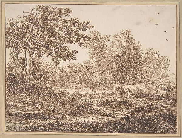 Dune Landscape with Trees