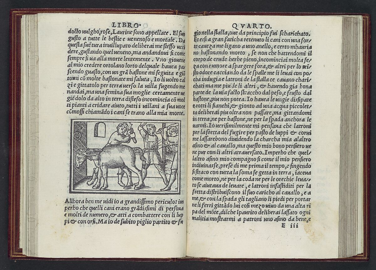 Apulegio volgare, diuiso in undeci libri, novamente stampato & in molti lochi aggiontoui che nella prima impressione gli manchaua, & de molte più figure adornato, Lucius Madaurensis Apuleius (M&#39;Daourouch, Algeria ca. 124–after 170), Printed book with woodcut illustrations 