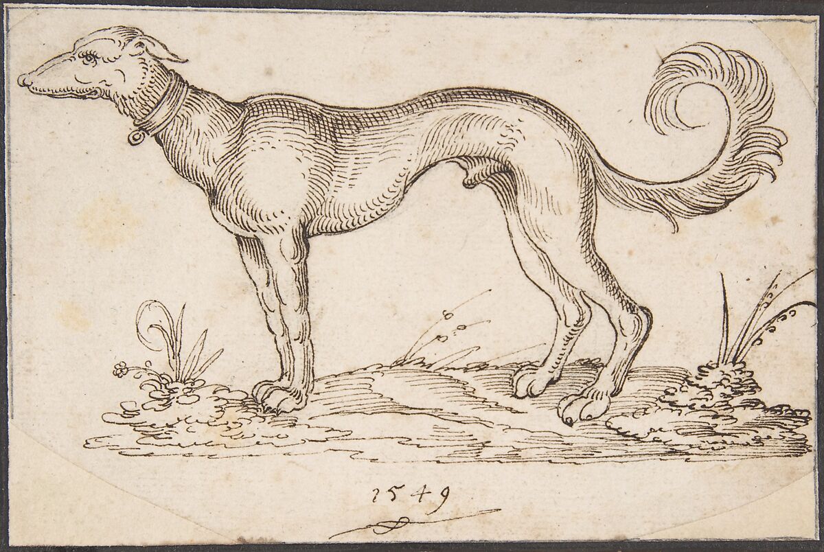 A Greyhound in Profile Facing Left, Virgil Solis (German, (?) 1514–1562 Nuremberg), Pen and brown ink over graphite 