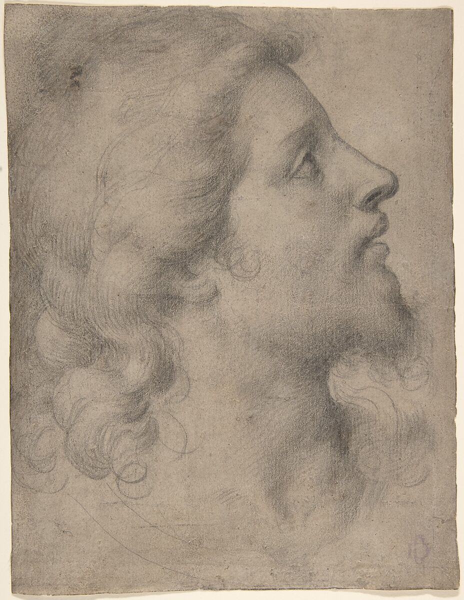 Head of a Bearded, Young Man in Profile Facing Right, Bronzino (Agnolo di Cosimo di Mariano) (Italian, Monticelli 1503–1572 Florence), Black chalk on light brown paper 