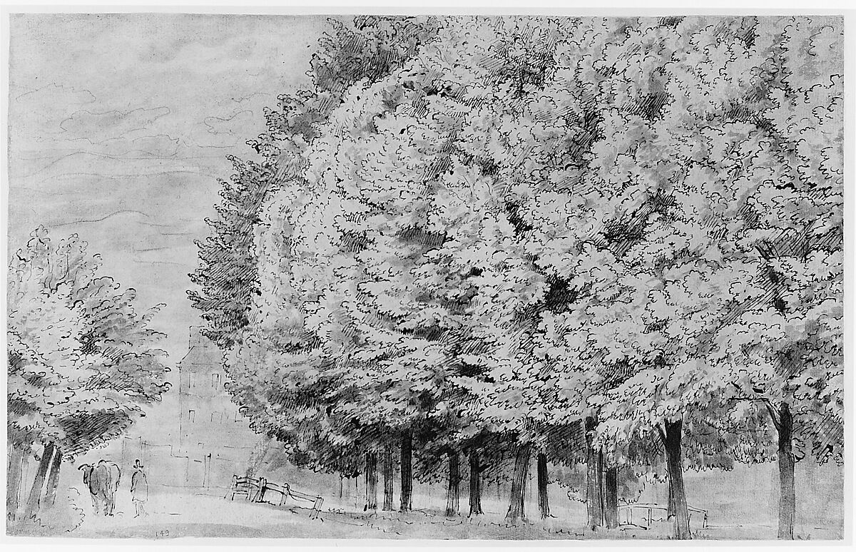 Large Forest (recto); A tree-lined lane with figure (verso), Attributed to Johannes Leupenius (Dutch, Amsterdam 1643–1693 Amsterdam), Pen and brown ink, brush and brown wash, white heightening. Verso: pen, brown ink and brown wash over black chalk