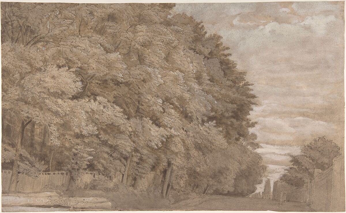 Large Forest (recto); A tree-lined lane with figure (verso), Attributed to Johannes Leupenius (Dutch, Amsterdam 1643–1693 Amsterdam), Pen and brown ink, brush and brown wash, white heightening. Verso: pen, brown ink and brown wash over black chalk 