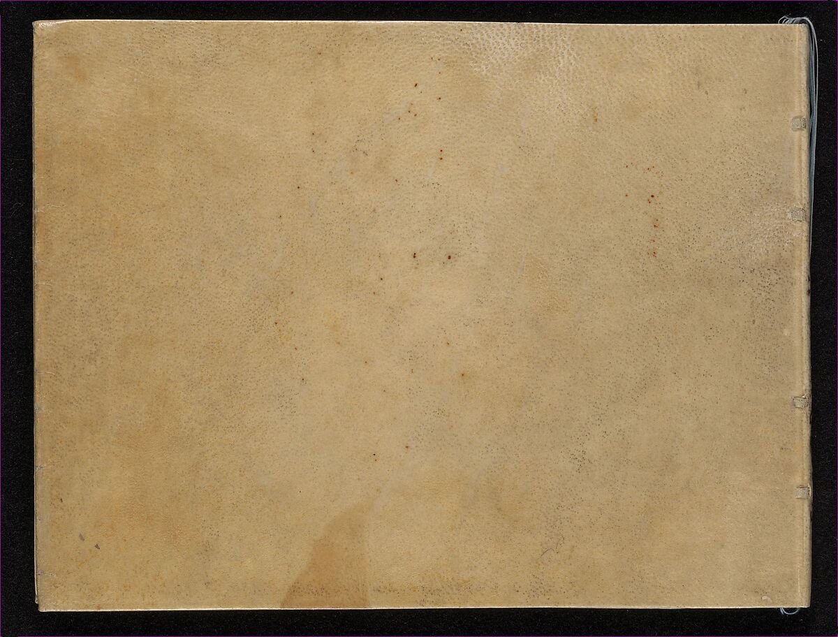 Prima Parte de' Fiori, e Disegni di varie sorti di Ricami Moderni, Giovanni Battista Ciotti (Italian, born Siena, ca. 1560), Woodcut