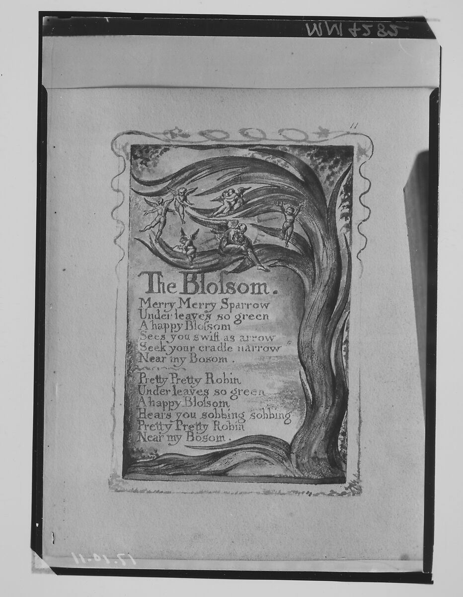 Songs of Innocence: The Blossom, William Blake (British, London 1757–1827 London), Relief etching printed in orange-brown ink and hand-colored with watercolor and shell gold