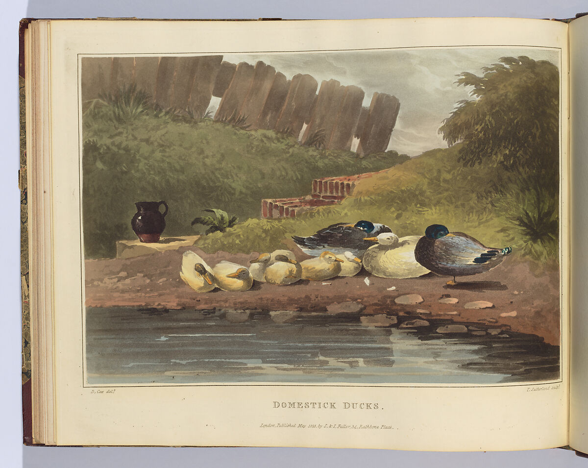 The Young Artists' Companion; or, Drawing-Book of Studies and Landscape Embellishments : comprising a great variety of the most picturesque objects required in the various compositions of landscape scenery, arranged as progressive lessons, Written and illustrated by David Cox (British, Birmingham 1783–1859 Harborne, near Birmingham), Illustrations: soft ground etching, aquatint, some hand-coloring