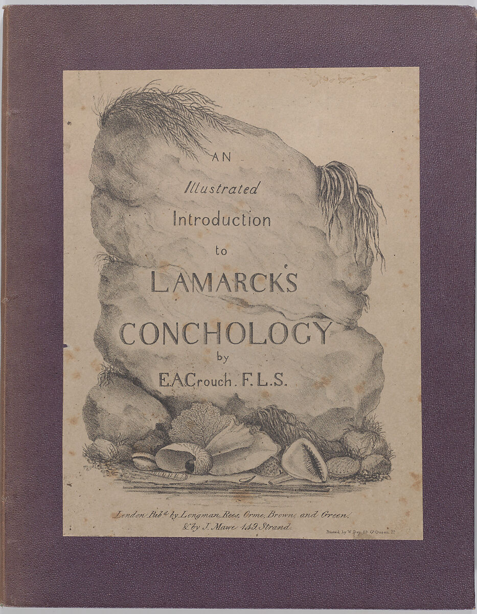 An Illustrated Introduction to Lamarck's Conchology; Contained in His Histoire Naturelle des Animaux Sans Vertèbres: Being a Literal Translation of the Descriptions of the Recent and Fossil Genera., Written and lithographed by Edmund A. Crouch (British, active ca. 1827), Illustrations: lithographs, hand-colored 