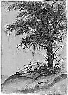 Study of a Tree, Marten van Valckenborch (Netherlandish, Leuven 1534–1612 Frankfurt am Main), Brush and black ink, gray wash, green, yellow, and brown watercolor, white, and green gouache. Traces of framing lines in pen and black ink