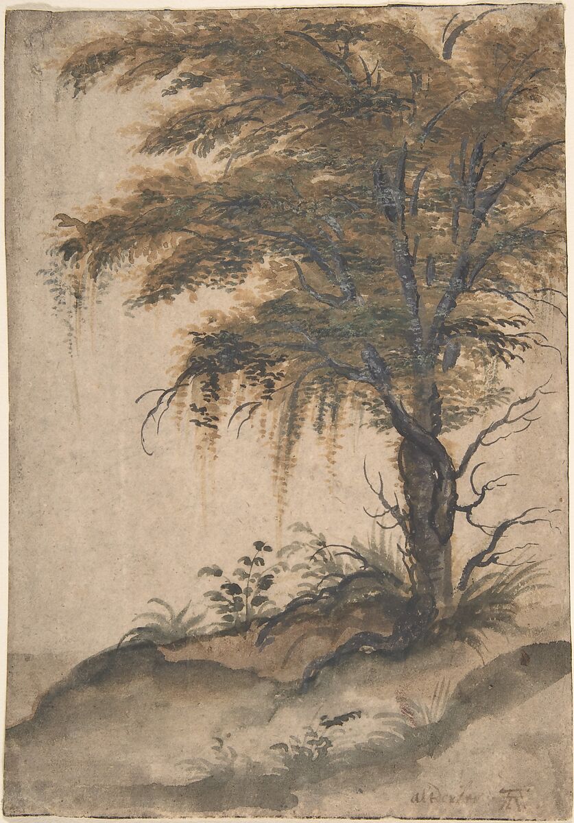 Study of a Tree, Marten van Valckenborch (Netherlandish, Leuven 1534–1612 Frankfurt am Main), Brush and black ink, gray wash, green, yellow, and brown watercolor, white, and green gouache. Traces of framing lines in pen and black ink 