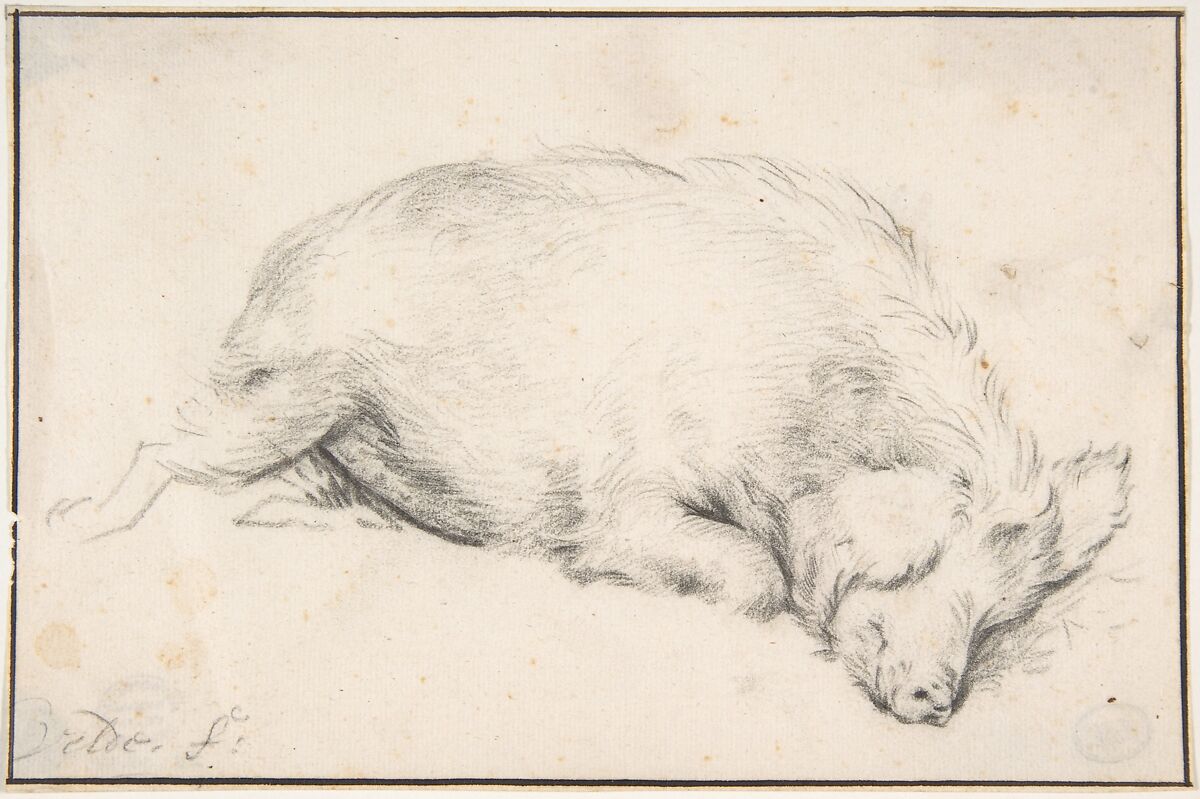 A Sleeping Swine, Adriaen van de Velde (Dutch, Amsterdam 1636–1672 Amsterdam), Black chalk; framing lines in pen and brown ink 