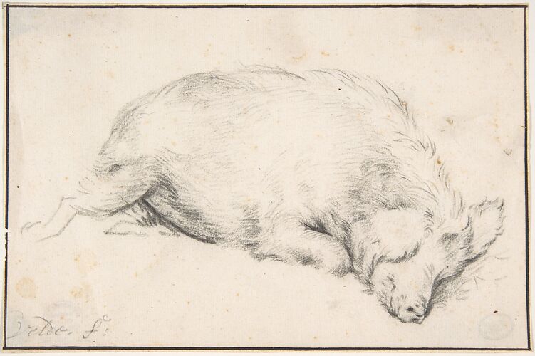 A Sleeping Swine